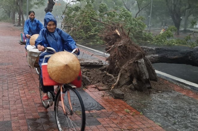 Từ nay đến tháng 8, Biển Đông xuất hiện 3-5 cơn bão hoặc áp thấp nhiệt đới